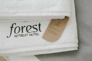 Рекреационный комплекс Forest Retreat Center. Полулюкс 4-местный Forest 13